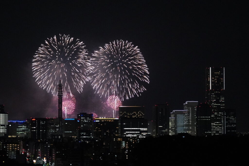 月見台からの花火画像